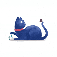 medivetcomunicacion  GIF