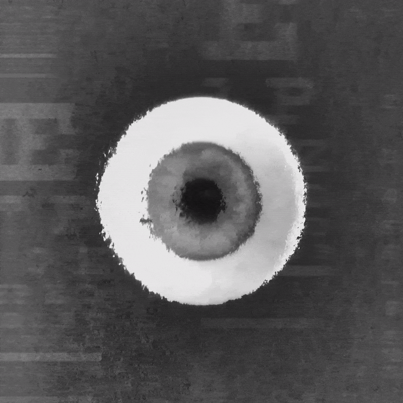trappas test eye spinning watching GIF