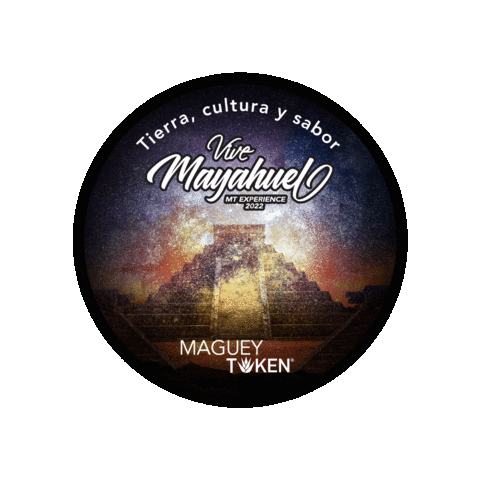 Mezcal Oaxaca Sticker by MagueyToken