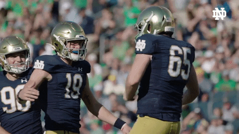 Notre Dame Leonard GIF by Notre Dame Fighting Irish