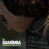 Dress Up GIF by La Guarimba Film Festival
