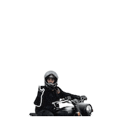 Moto Scout Sticker by Indian Motorcycle of San Diego