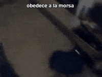 GIF by Giffffr