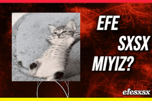 efesxsx evrim agaci evrim evrimagaci cem yilmaz GIF