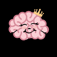 Latinaengineer queen smart brain engineering GIF