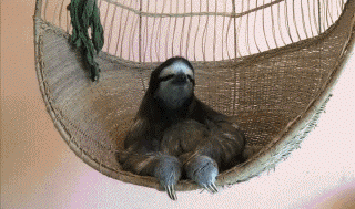 wassup GIF