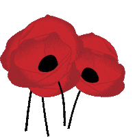 Lest We Forget Poppies Sticker by CSDSocialMedia