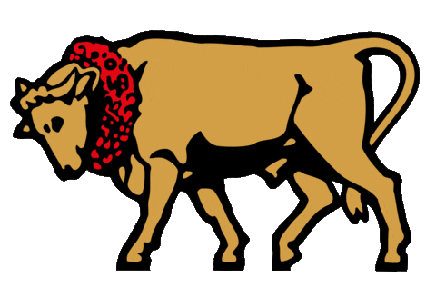 goldochsen giphyupload bier gold ochsen gold ochsen bier Sticker