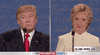 Donald Trump GIF by Election 2016
