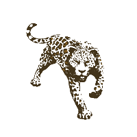 CampesinoRum rum campesino Sticker