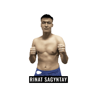 Mixed Martial Arts Mma Sticker by BRAVE Combat Federation