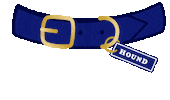 Instadog Sticker by HOUNDcollection
