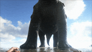 poop survival GIF