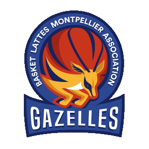 France Basketball Sticker by FIBA
