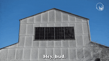 Excuse Me Attention GIF by Eternal Family