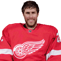 Ice Hockey No Sticker by Detroit Red Wings