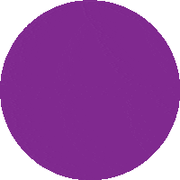 Class Sticker by Schwarzman Scholars