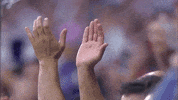 la liga soccer GIF by Real Madrid