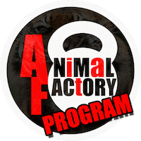 Training Tiger Sticker by Animal Factory