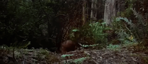 Princess Leia Episode 6 GIF by Star Wars