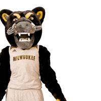 High Five Mke GIF by UW-Milwaukee