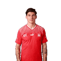 Steven Zuber Link Sticker by Swiss Football Association