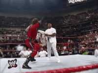Royal Rumble Wrestling GIF by WWE