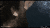 today robert GIF