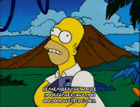 homer simpson episode 6 GIF