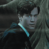 Itzuki1 slytherin hot boy tom riddle young tom riddle GIF