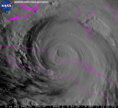 #storm #hurricane GIF by NASA