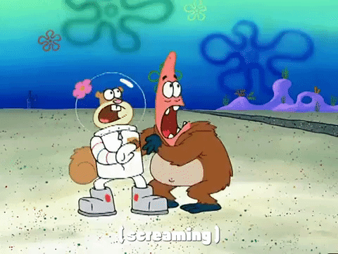 season 3 GIF by SpongeBob SquarePants