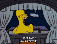homer simpson GIF