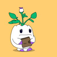 No Money Shopping GIF by Magic Eden