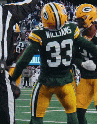 Green Bay Packers GIF