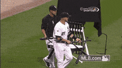 cws GIF by MLB