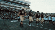 San Marcos Sport GIF by Texas State Football