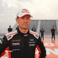 World Champion GIF by FIA World Rally Championship