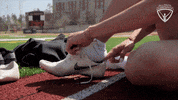 Arc Olympian GIF by All-Round Champion