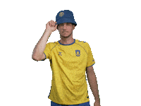 Football Dksl Sticker by Brøndby IF