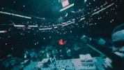 Show Concert GIF by broke