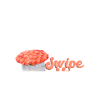 Swipe Up Sticker by Blooming Box