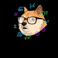 Confused Shiba Inu GIF by Doge Pound