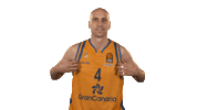 lets go basketball Sticker by EuroLeague