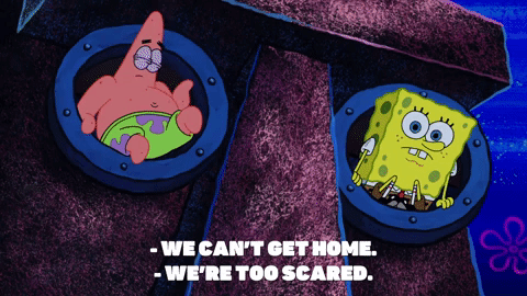 season 9 GIF by SpongeBob SquarePants