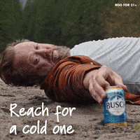 busch beer reach for a cold one GIF by Busch