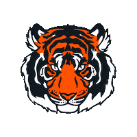 HOLYenergy holy holy energy holy squad holy tiger Sticker