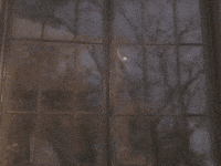 Good Morning Windows GIF by Star Trek