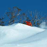 GIF by Thredbo