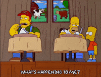 homer simpson GIF
